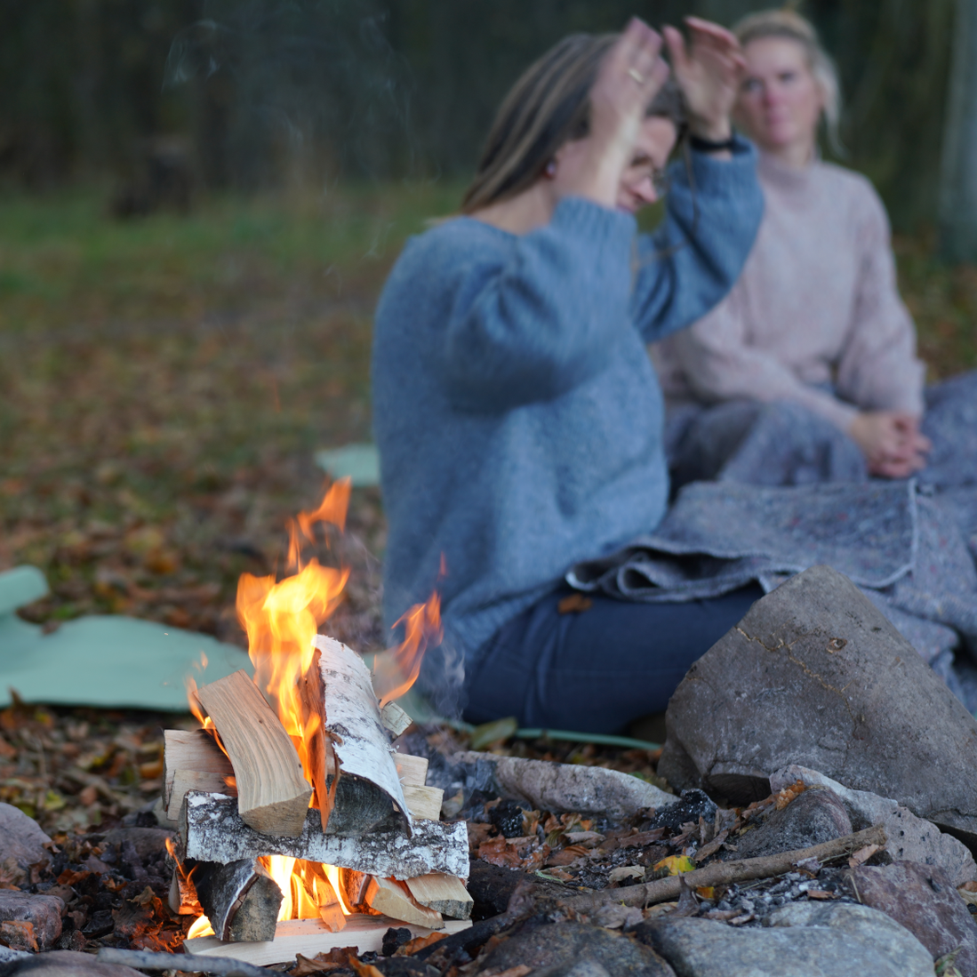 Meditation i skovbunden