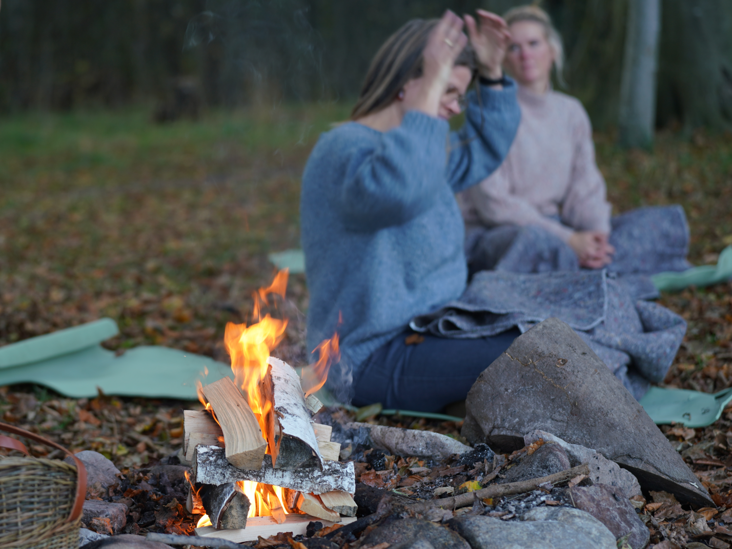 Meditation i skovbunden