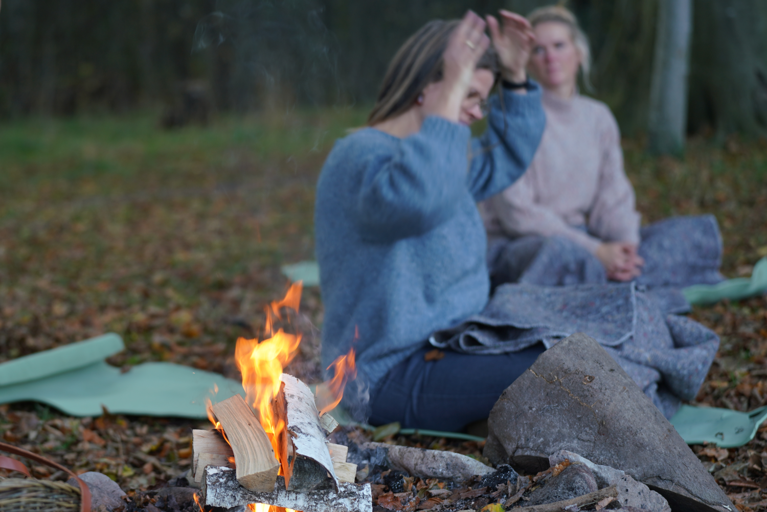 Meditation i skovbunden