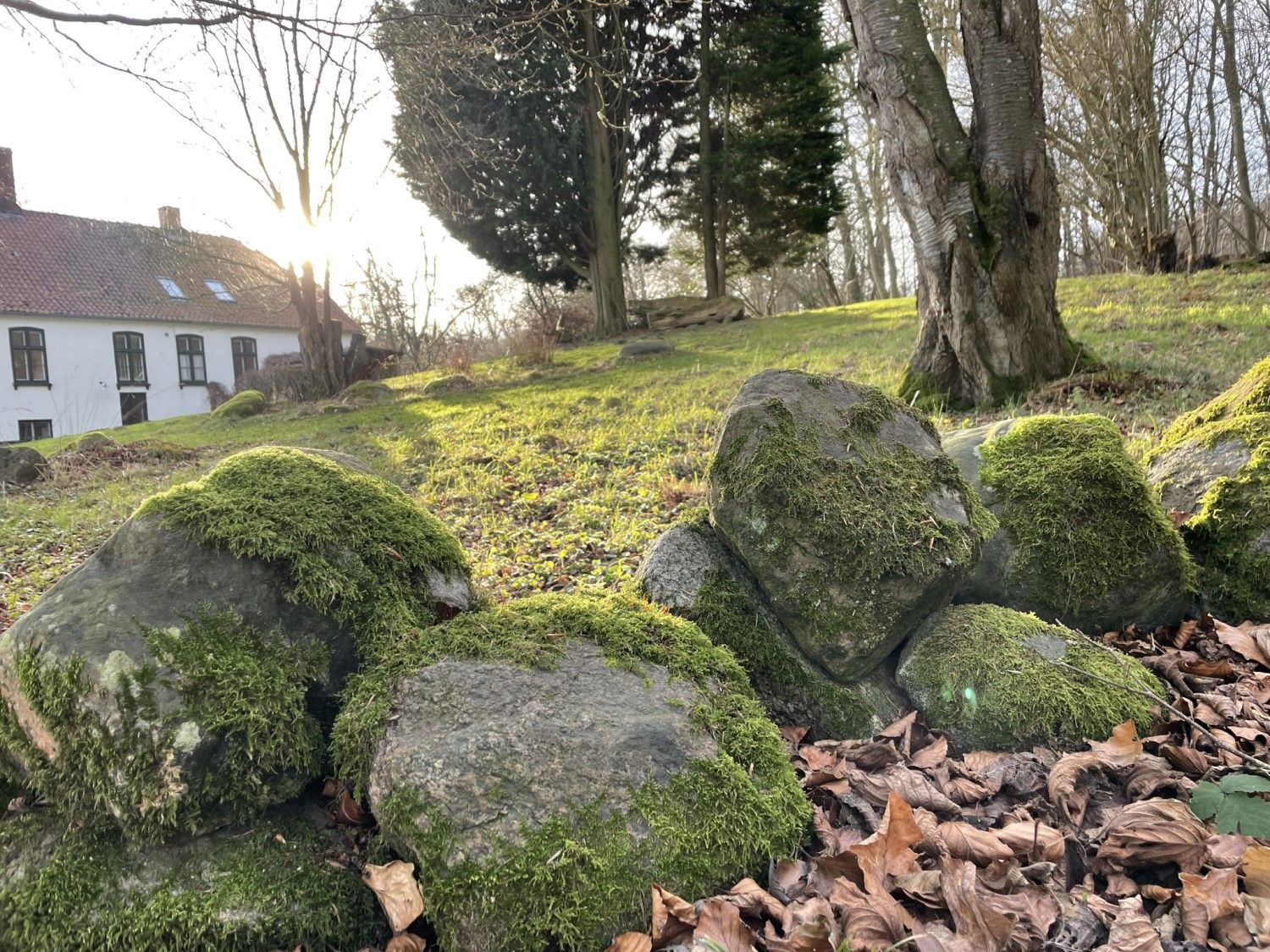 Skovriddergård i solskin